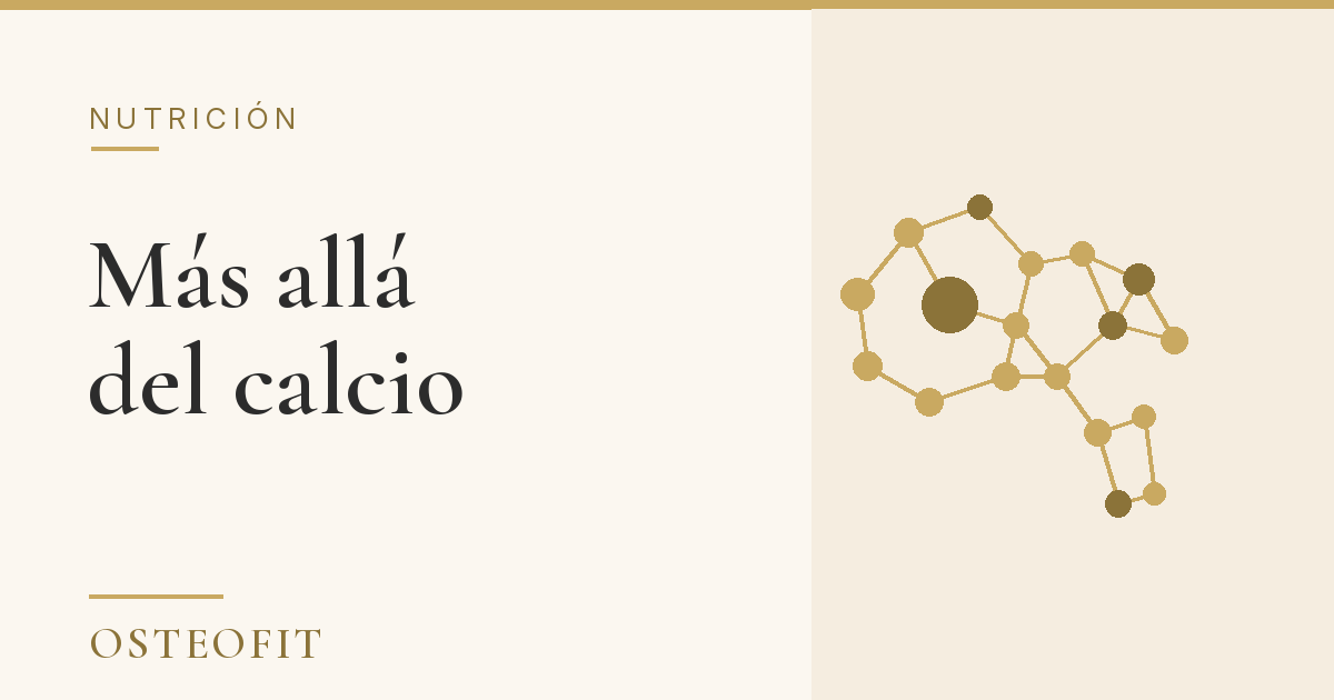Más allá del calcio: proteína, vitamina D, K2 y magnesio