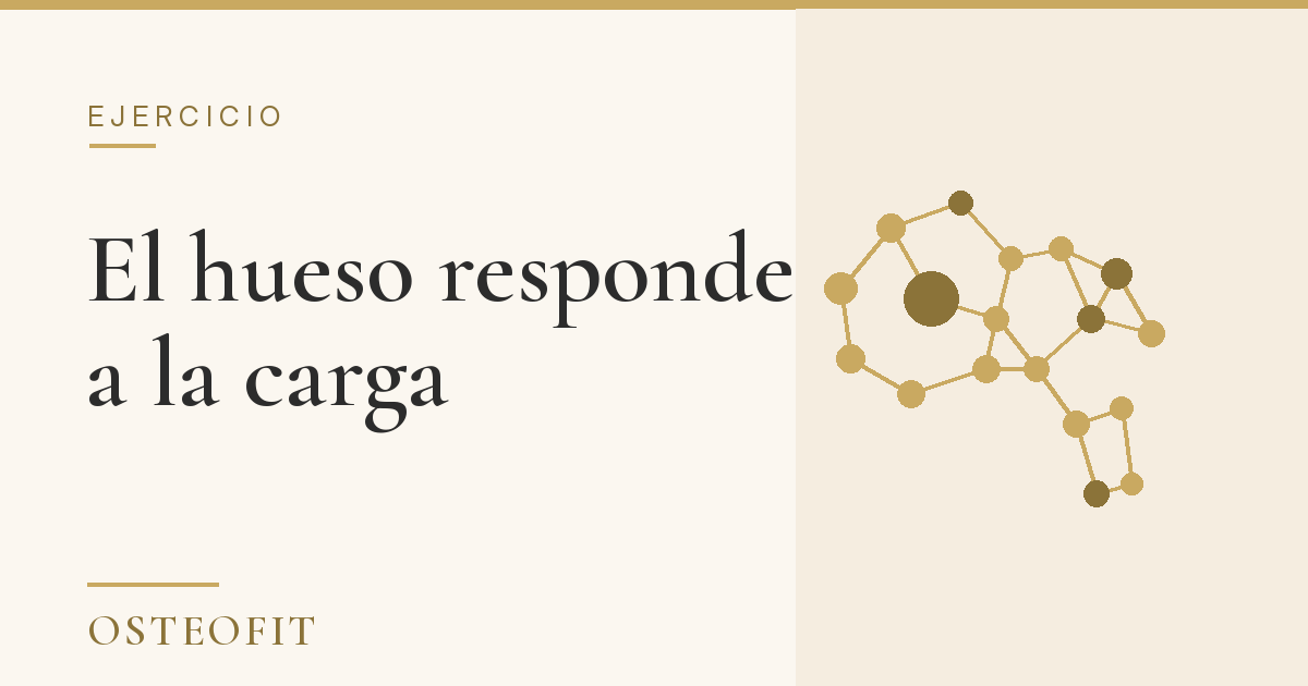 ¿El yoga sirve para la osteoporosis? Lo que dice el principio de Wolff